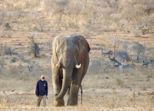 Ellie with caregiver