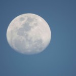 Blue Moon (38)