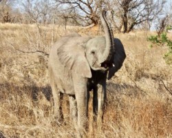 Trying to Scare Us Away