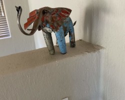 My elephant from home Ellie from Florida
