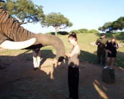 Tanya feeding the Ellie