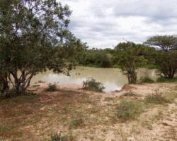 Watering Hole in Kapama