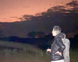 Under the African Sky