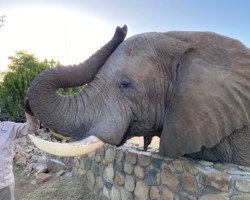 Ellie at Jabalani (20)