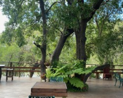 Rio Dos Elephantes Deck