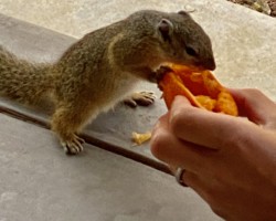 Enjoying some orange